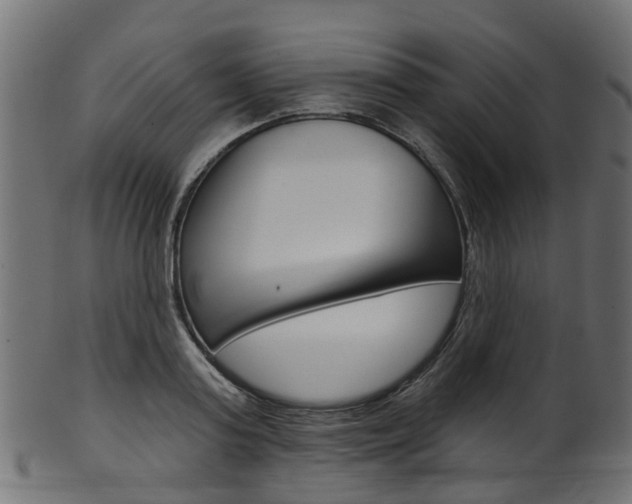 X0000102040795200807181028