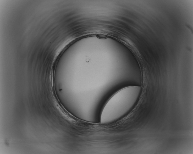 X0000102040796200807181028