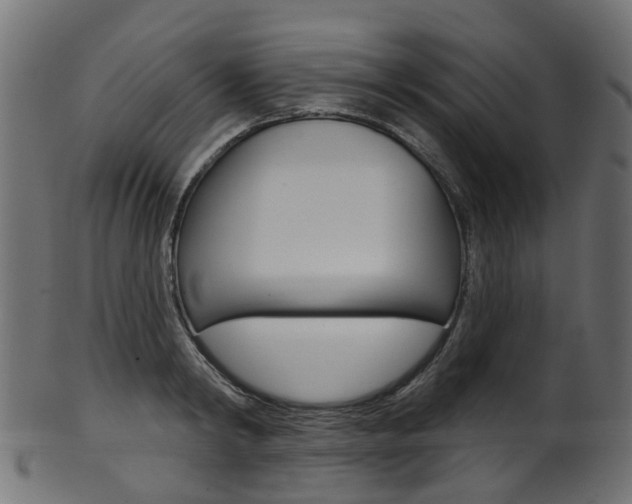 X0000102040798200807181028