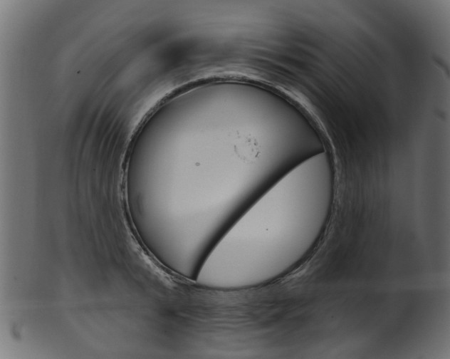 X0000102040799200807181028