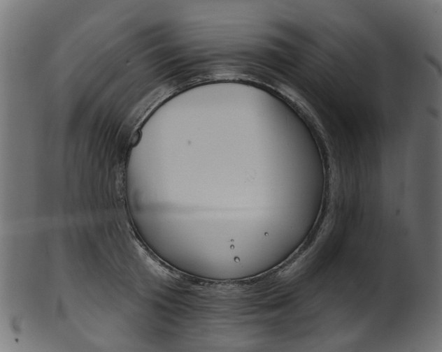 X0000102040801200807181028