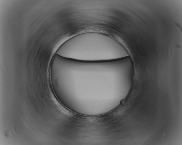 X0000102040803200807181028