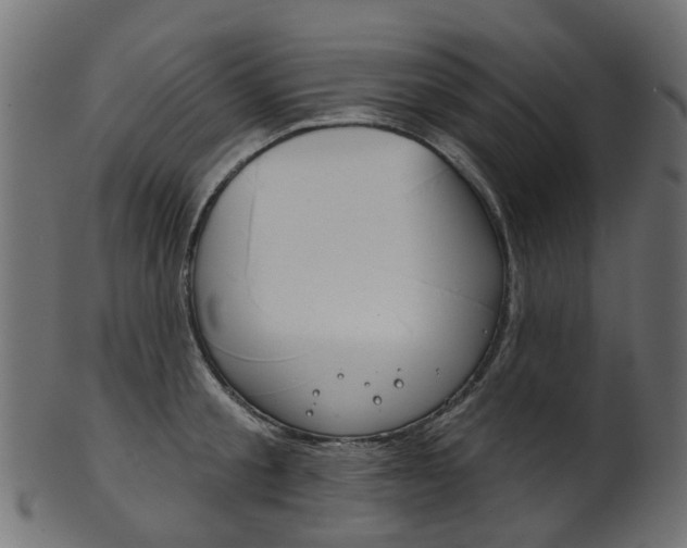 X0000102040805200807181028