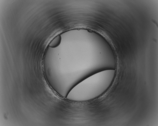 X0000102040806200807181028