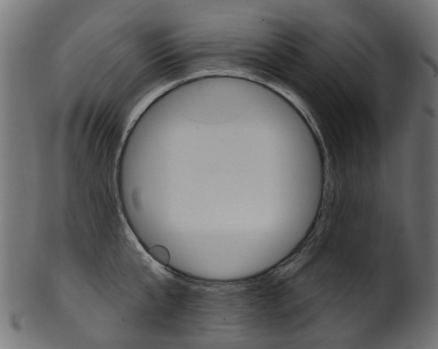 X0000102040807200807181028
