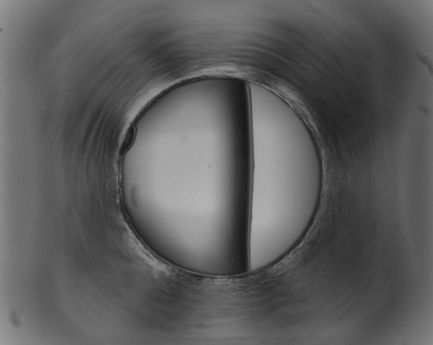 X0000102040808200807181028