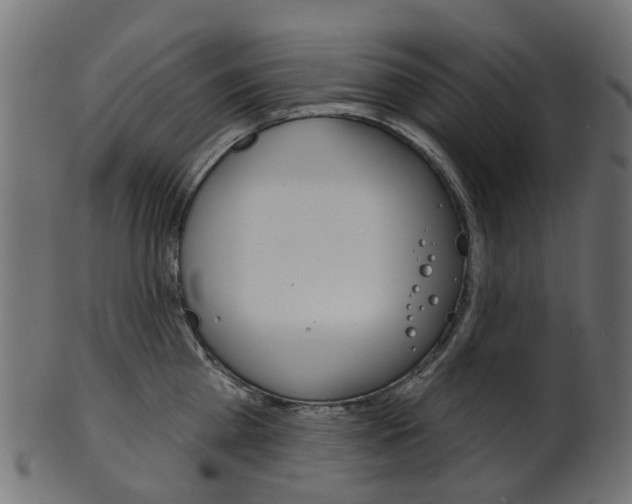 X0000102040809200807181028