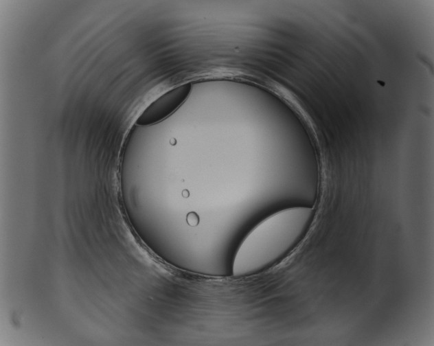X0000102040810200807181028