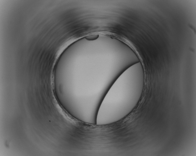 X0000102040811200807181028