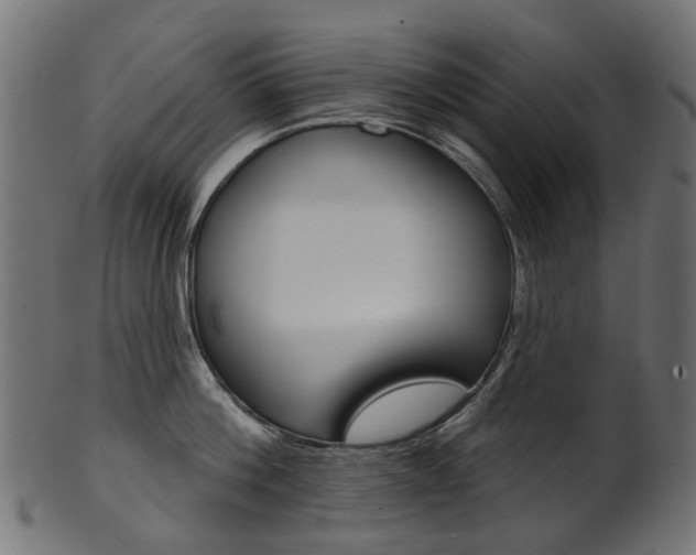 X0000102040812200807181028