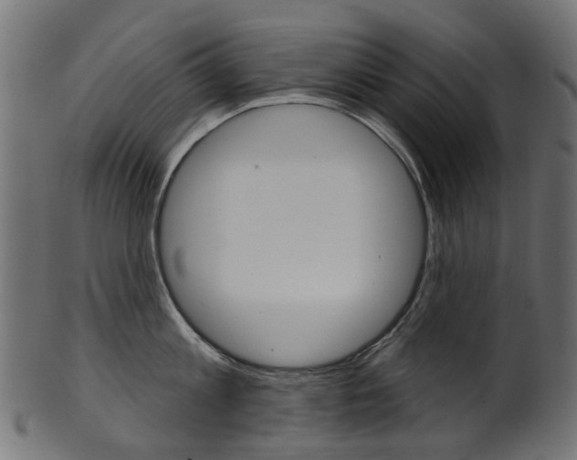 X0000102040813200807181028