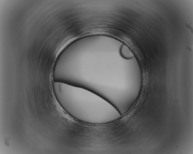 X0000102040814200807181028