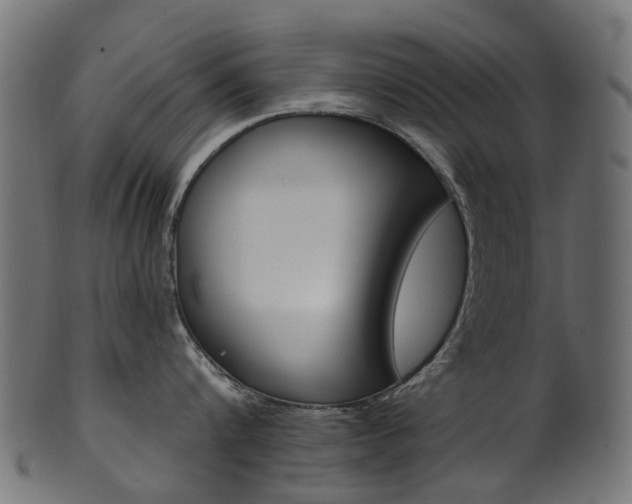 X0000102040816200807181028