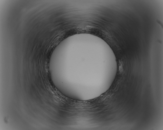 X0000102040819200807181027