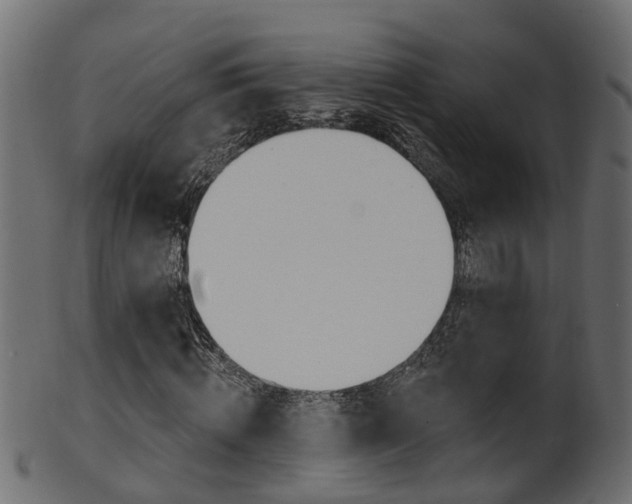 X0000102040820200807181027
