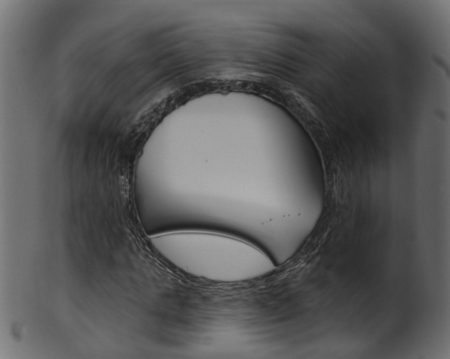 X0000102040821200807181027