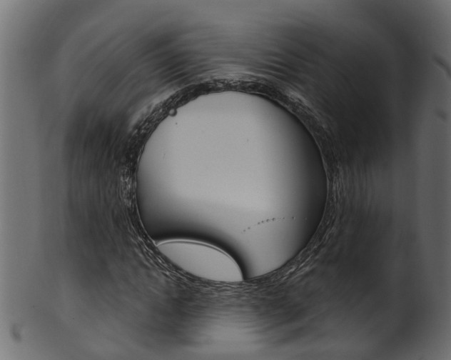 X0000102040822200807181027