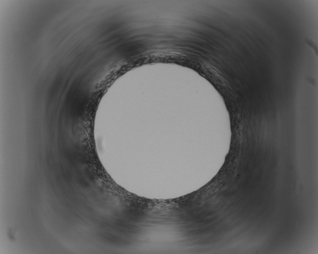 X0000102040824200807181027