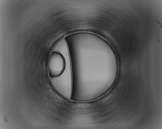 X0000102040825200807181027