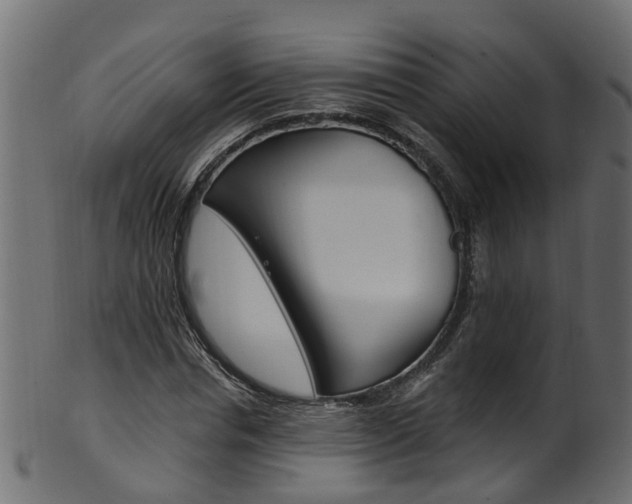 X0000102040826200807181027