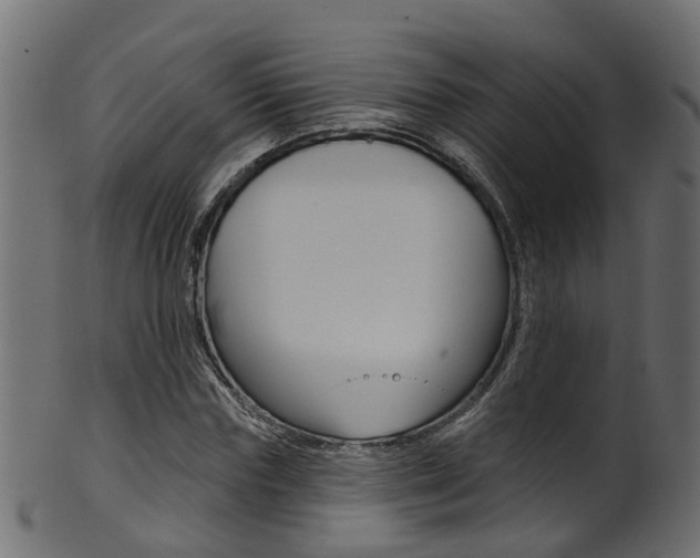 X0000102040827200807181027