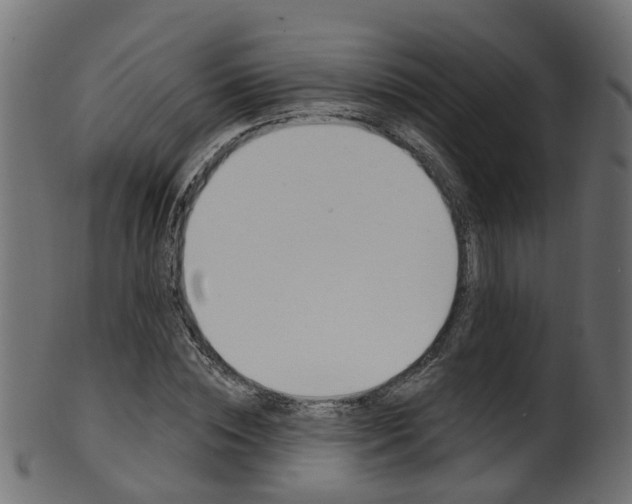 X0000102040828200807181027