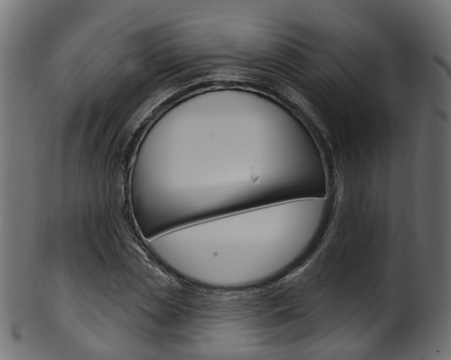 X0000102040829200807181028