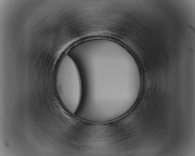X0000102040830200807181028