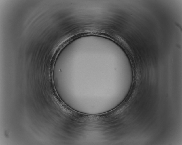 X0000102040831200807181028