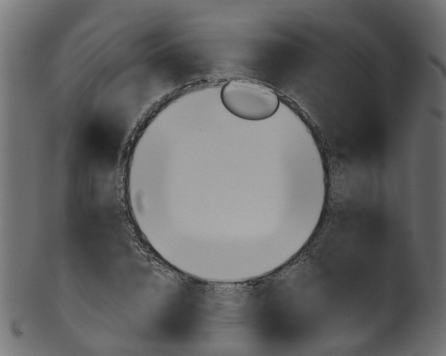 X0000102040832200807181028