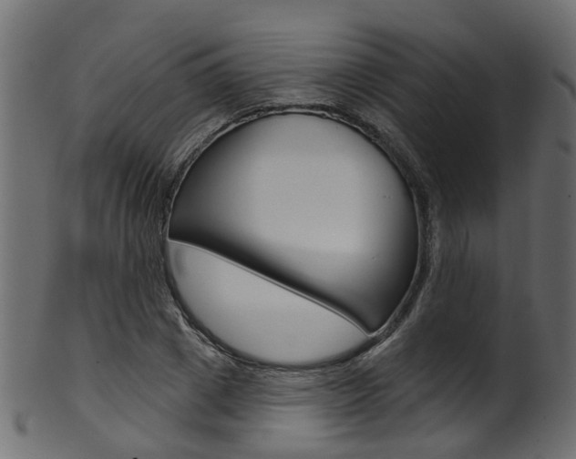 X0000102040833200807181028