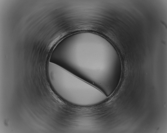 X0000102040834200807181028