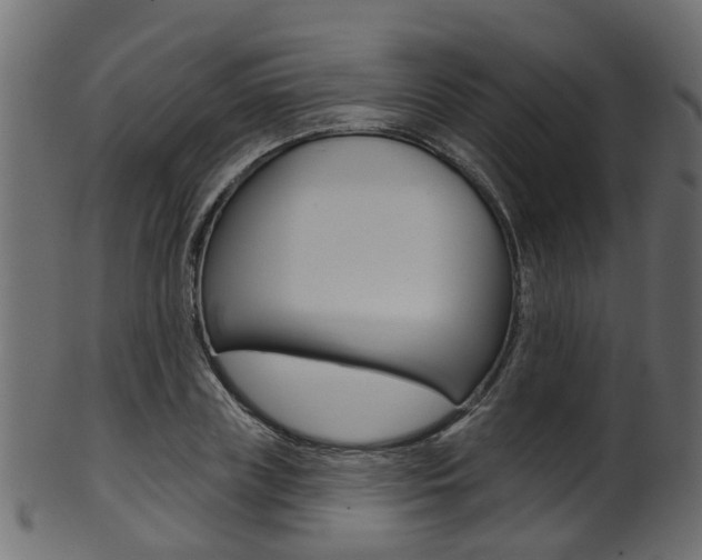 X0000102040835200807181028
