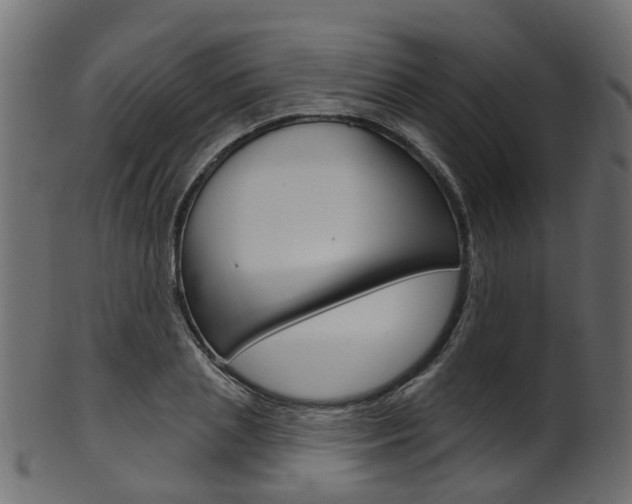 X0000102040837200807181028