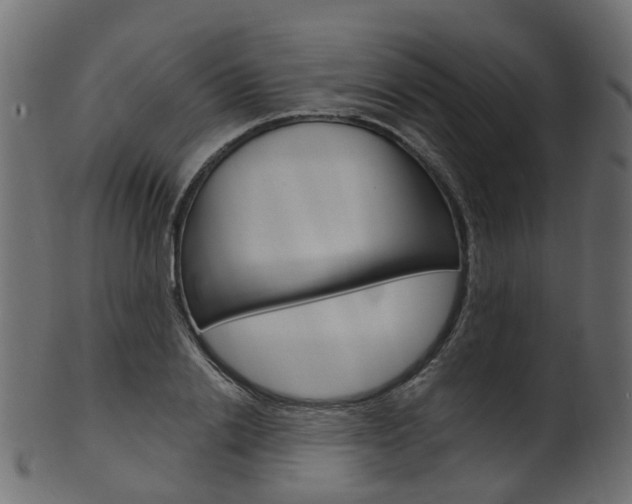 X0000102040838200807181028