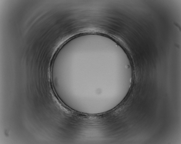 X0000102040839200807181028