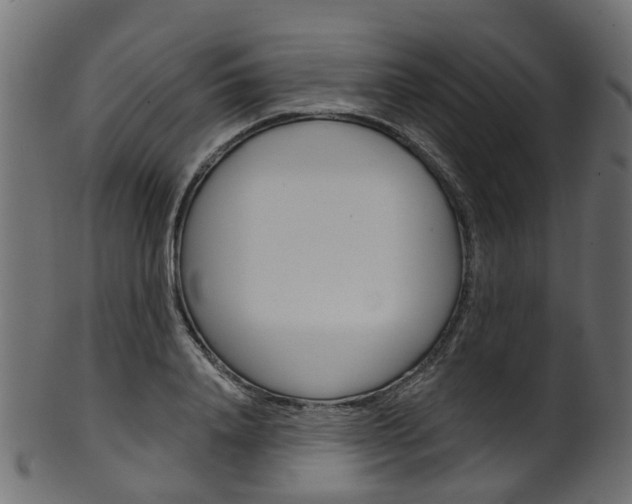 X0000102040840200807181028