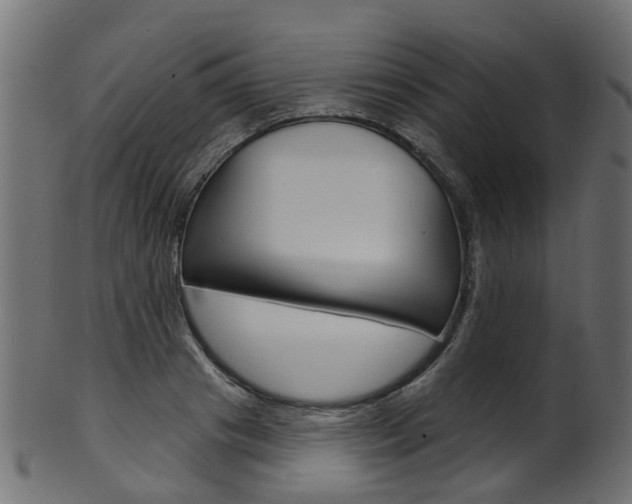 X0000102040841200807181028