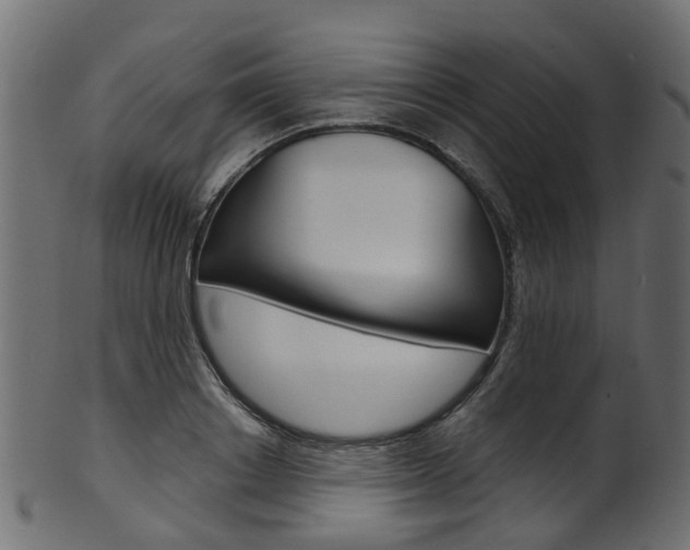 X0000102040842200807181028