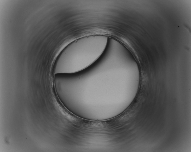 X0000102040843200807181028