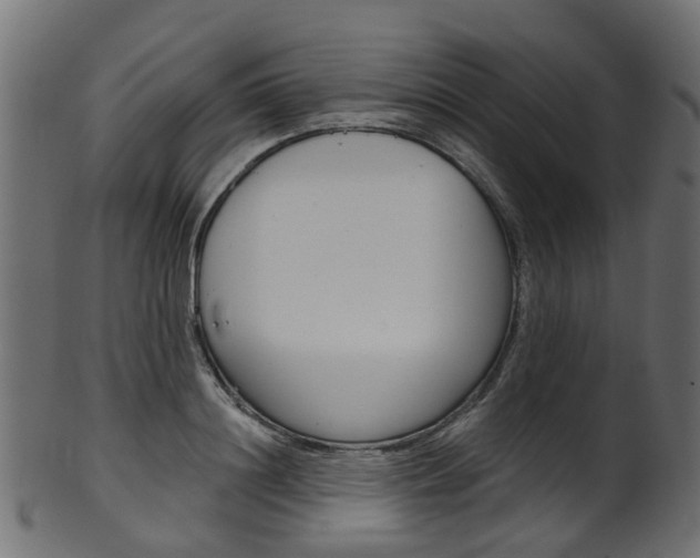 X0000102040844200807181028