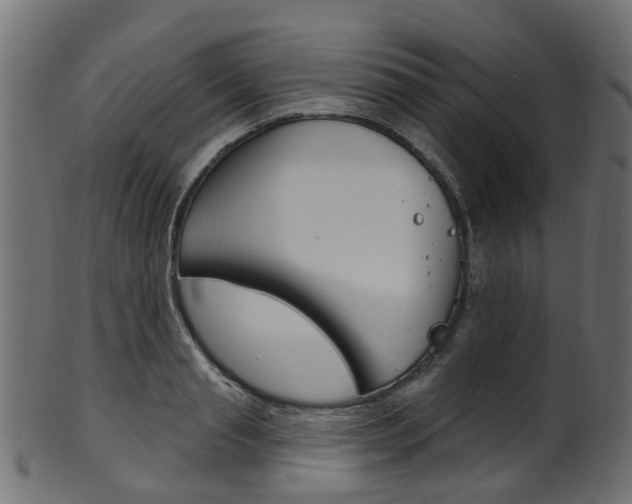 X0000102040845200807181028