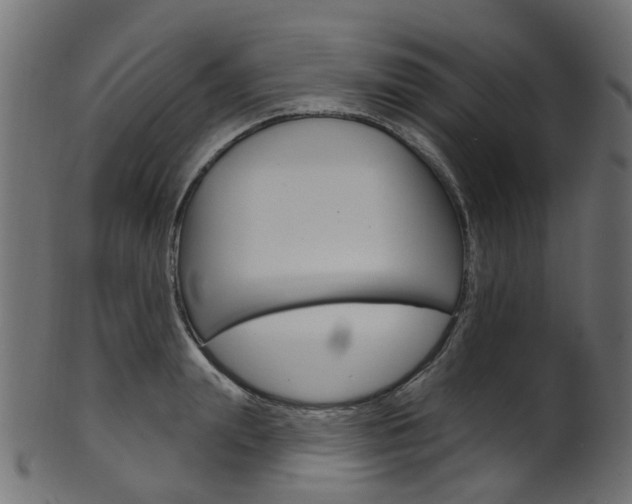 X0000102040847200807181028