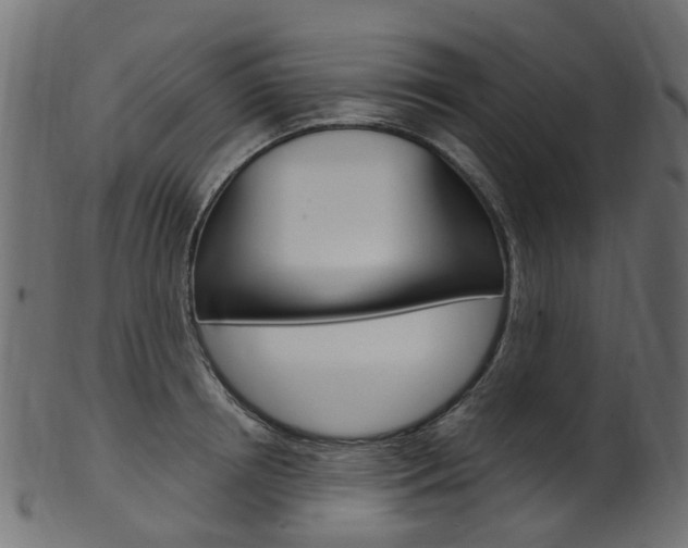 X0000102040850200807181028