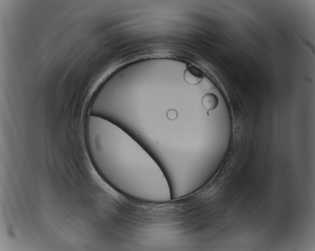 X0000102040851200807181028