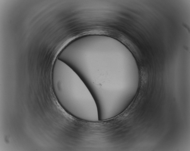 X0000102040852200807181028