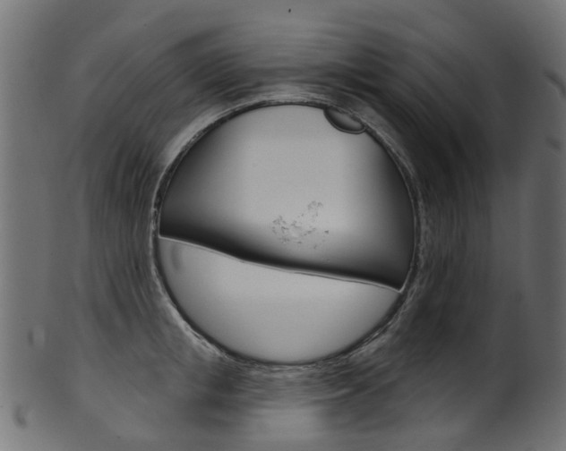 X0000102040853200807181028