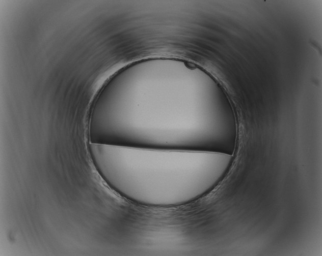 X0000102040854200807181028