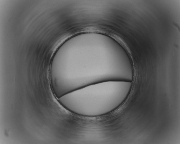 X0000102040855200807181028