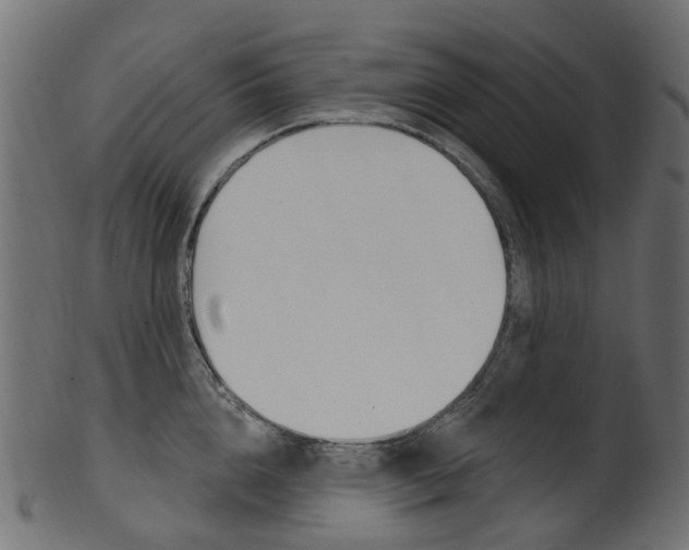 X0000102040856200807181028